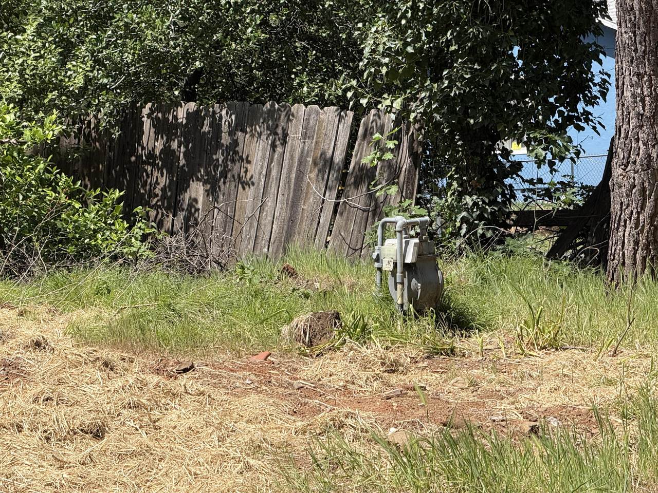 https://bt-photos.global.ssl.fastly.net/shasta/1280_boomver_1_26-1597-2.jpg