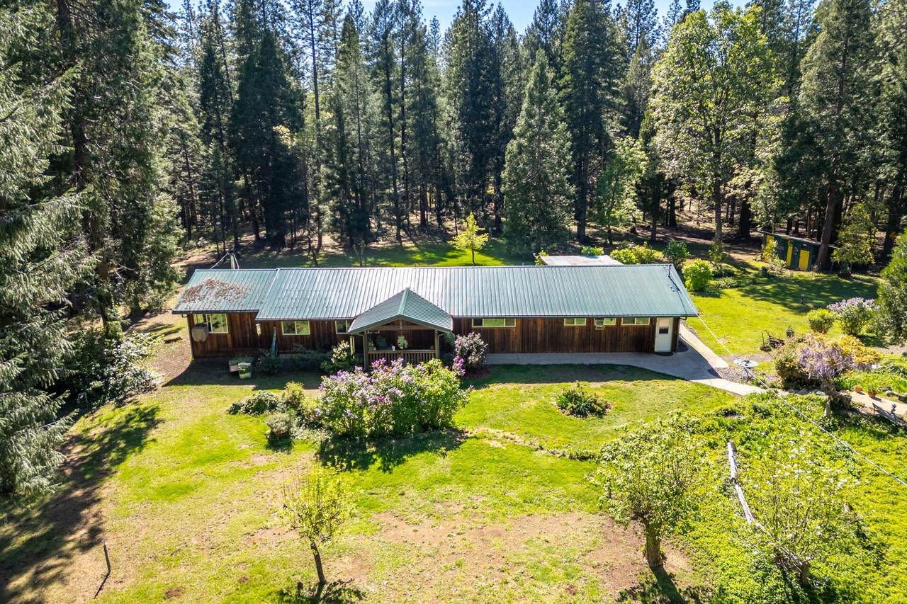 30481 Rl Smith Logging Road - Photo 1