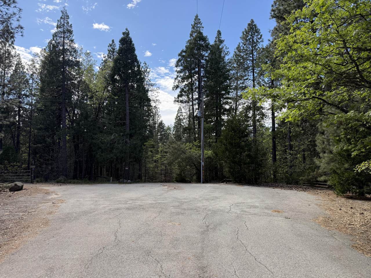  Dandelion Drive - Photo 1