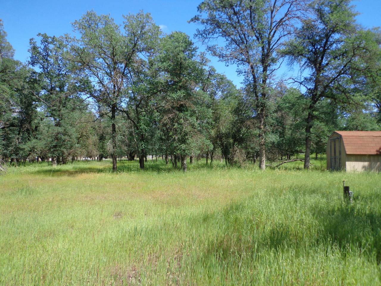 18287 Sterling Place - Photo 1