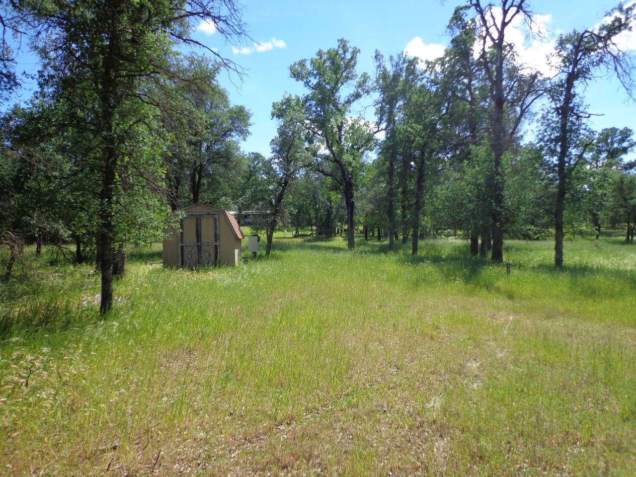 https://bt-photos.global.ssl.fastly.net/shasta/1280_boomver_1_26-1665-2.jpg