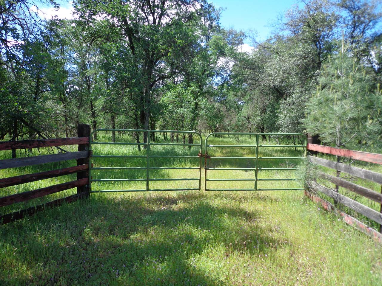 https://bt-photos.global.ssl.fastly.net/shasta/1280_boomver_1_26-1665-2.jpg