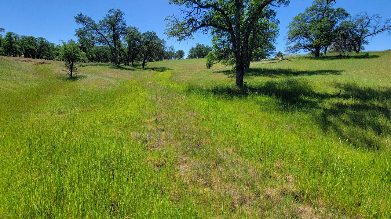 Lot 63 Mccoy Road - Photo 1