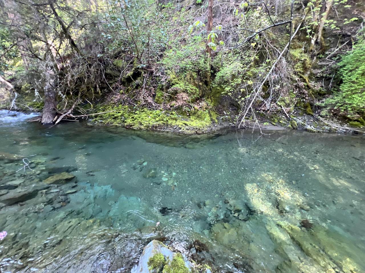 1500, 1551 Reading Creek Road - Photo 1