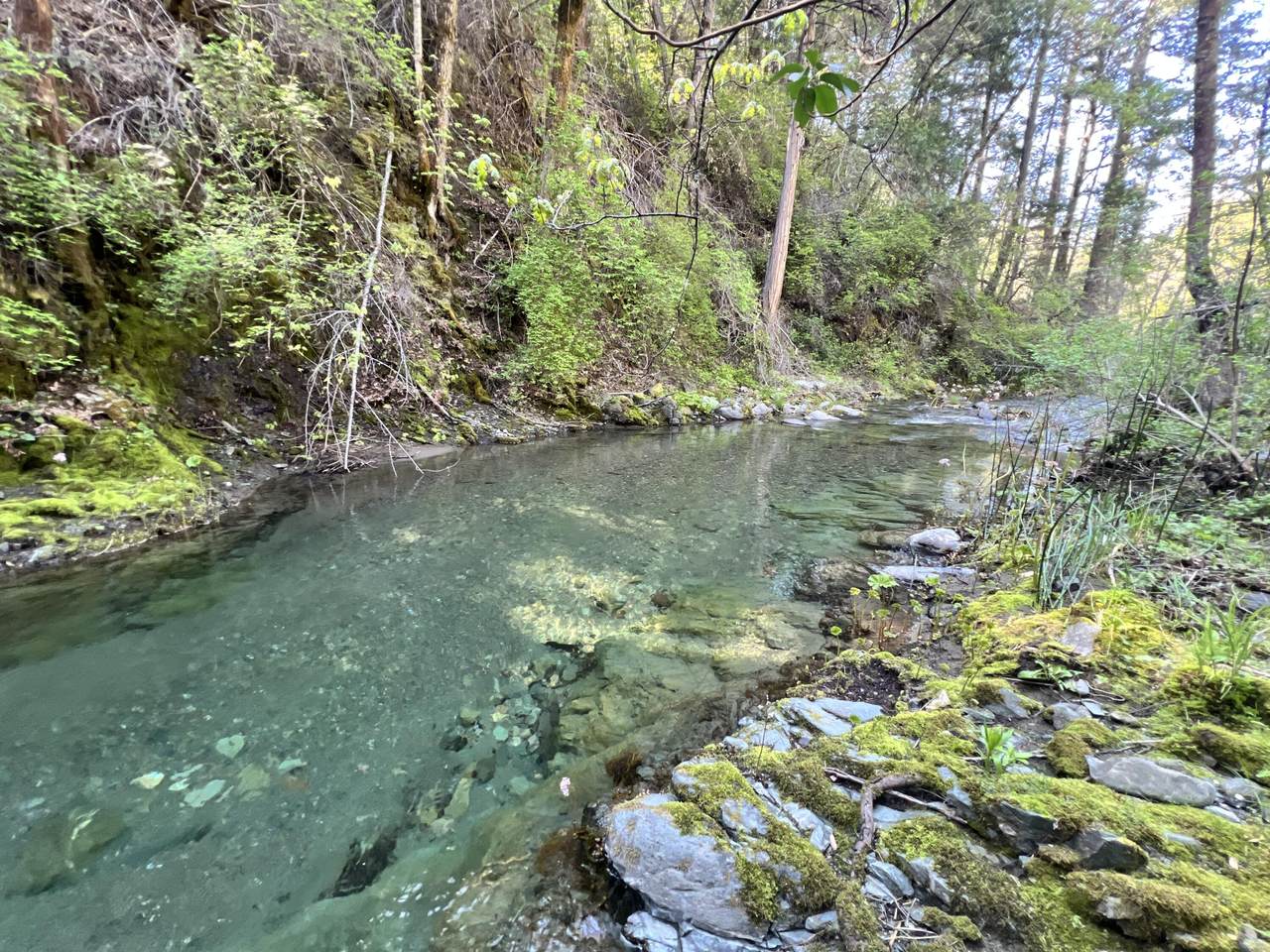 https://bt-photos.global.ssl.fastly.net/shasta/1280_boomver_1_26-1787-2.jpg