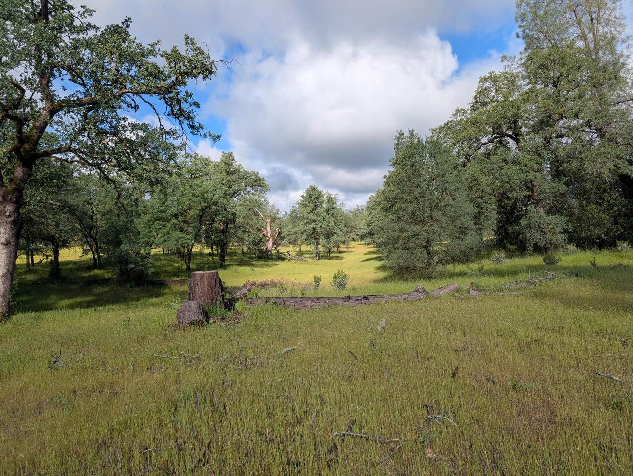 https://bt-photos.global.ssl.fastly.net/shasta/1280_boomver_1_26-1832-2.jpg