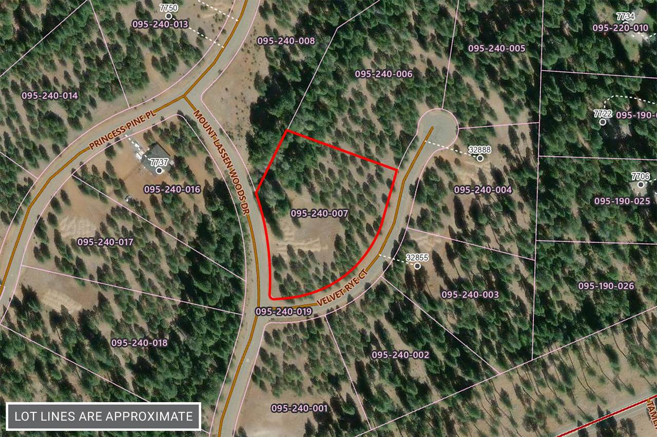 Lot 7 Velvet Rye Court - Photo 1