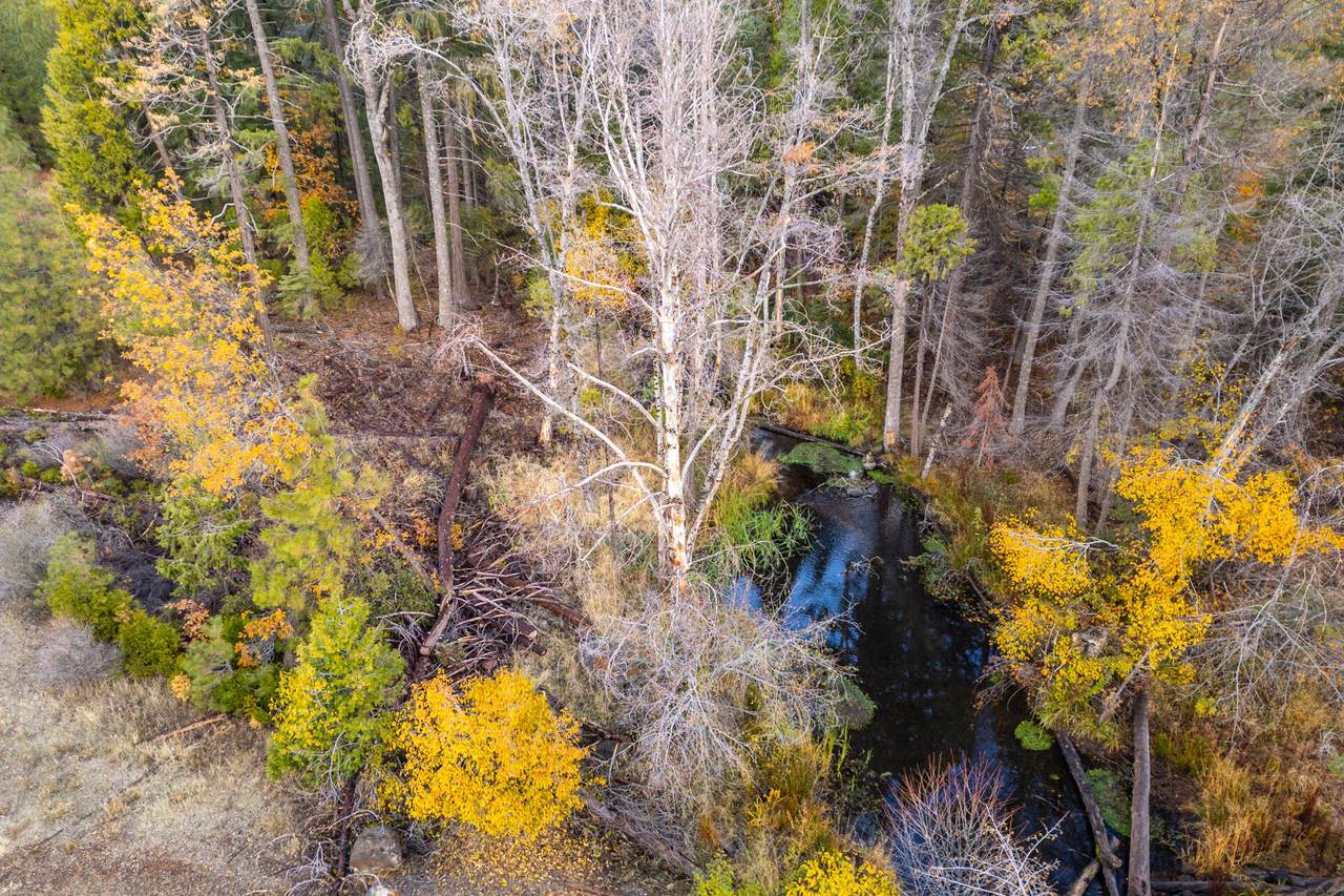 Lot 8 Princess Pine Place - Photo 1