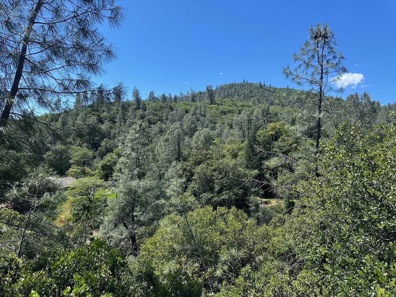 LOT Lake Boulevard - Photo 1