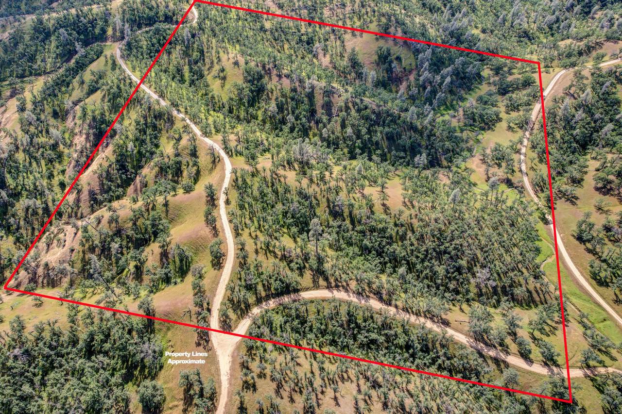 000 Clover Creek Drive - Photo 1