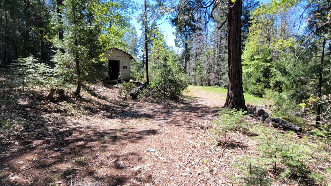 21492 Cove Road - Photo 1