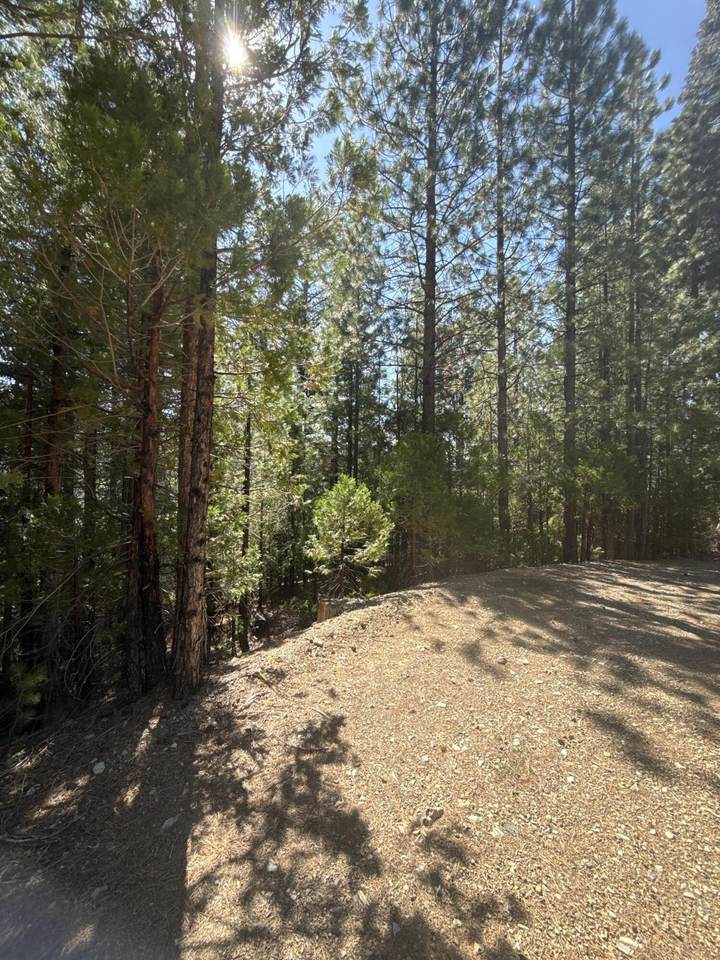  Kangaroo Creek Road - Photo 1