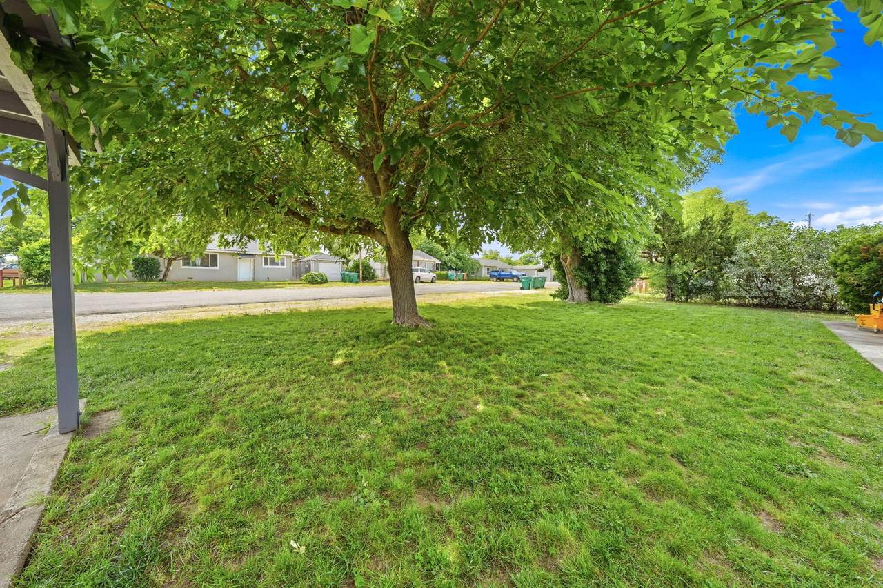 https://bt-photos.global.ssl.fastly.net/shasta/1280_boomver_1_26-2087-2.jpg