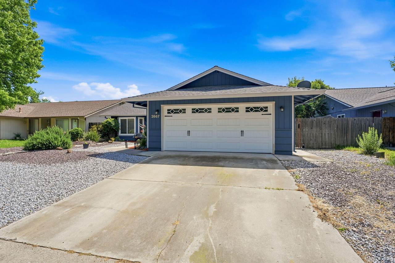 2667 Ely Lane - Photo 1