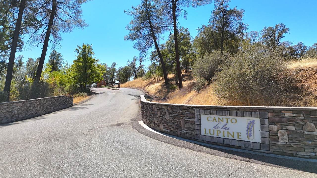 Lot 1 Canto De Las Lupine Drive - Photo 1