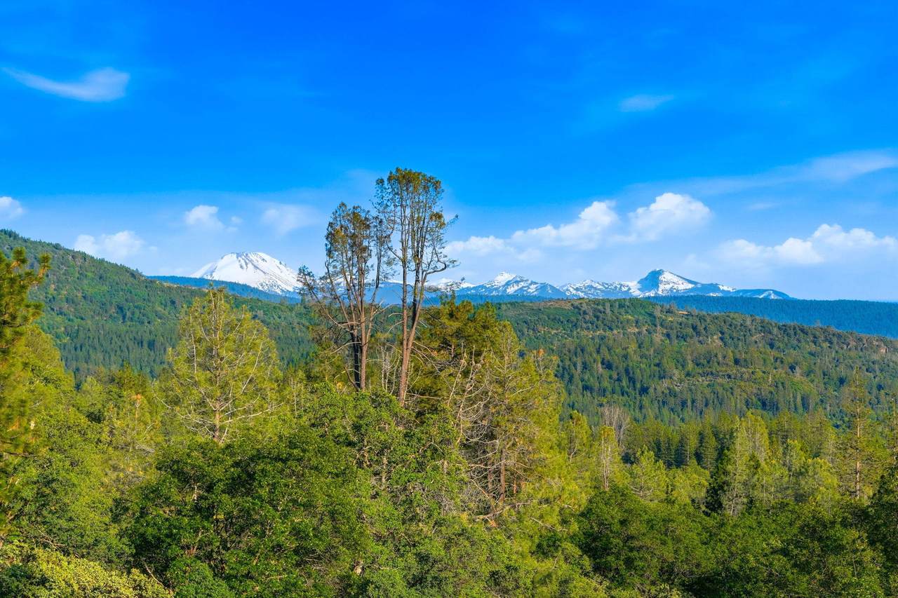 https://bt-photos.global.ssl.fastly.net/shasta/1280_boomver_1_26-2202-2.jpg