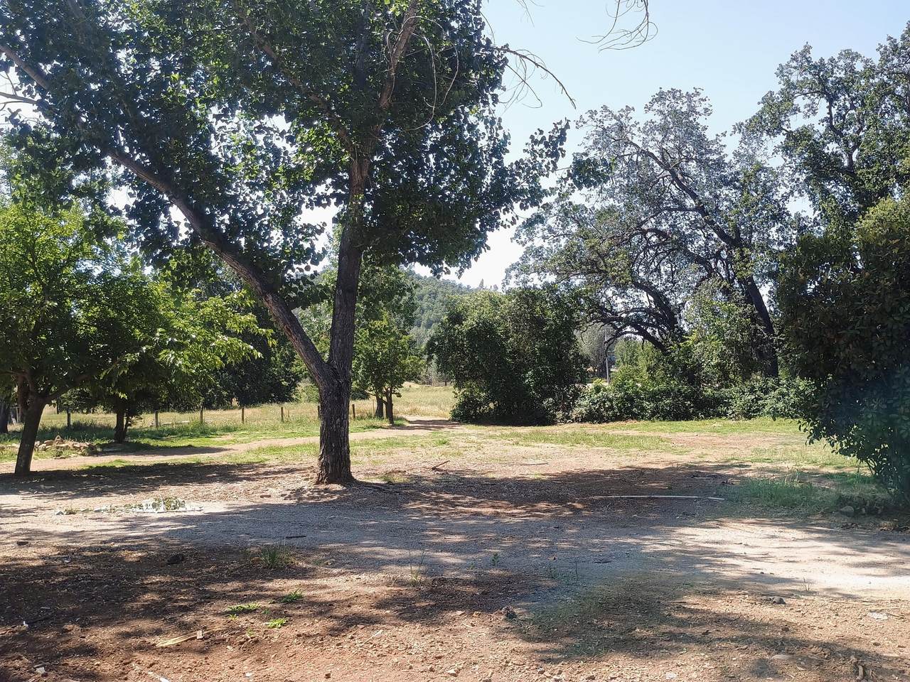 https://bt-photos.global.ssl.fastly.net/shasta/1280_boomver_1_26-2211-2.jpg
