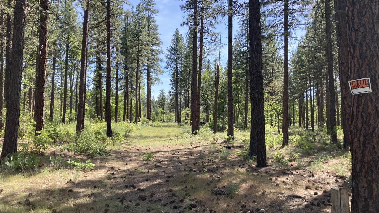 Lot 24 Big Lake Road - Photo 1