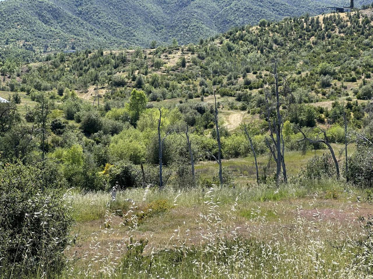 https://bt-photos.global.ssl.fastly.net/shasta/1280_boomver_1_26-2251-2.jpg