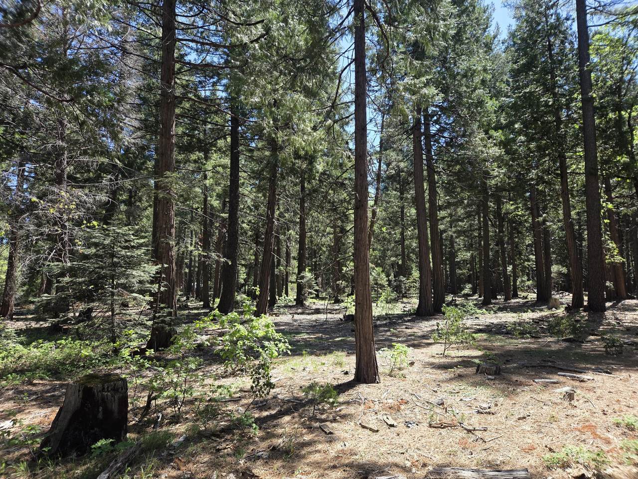 https://bt-photos.global.ssl.fastly.net/shasta/1280_boomver_1_26-2258-2.jpg