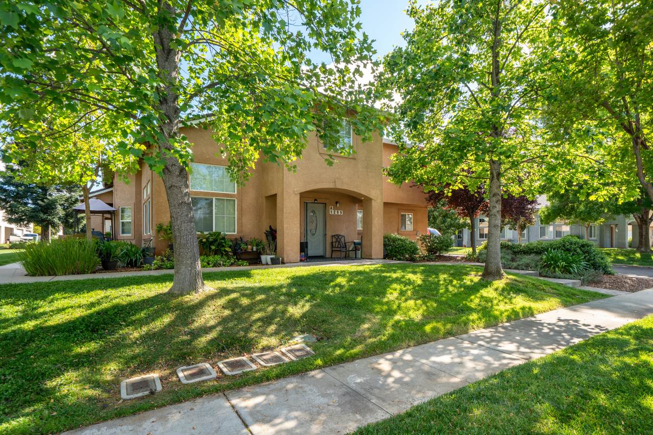 1299 Heavenly Oak Lane - Photo 1