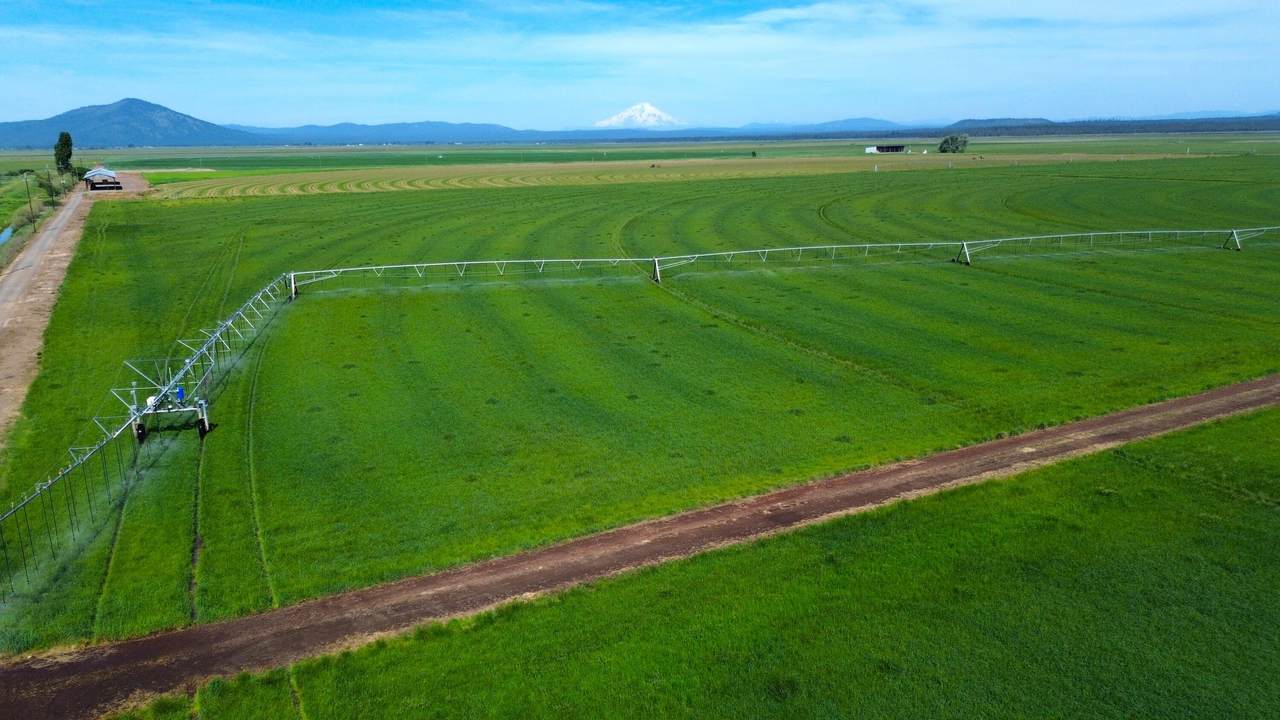 Lot 002 Lee Road - Photo 1