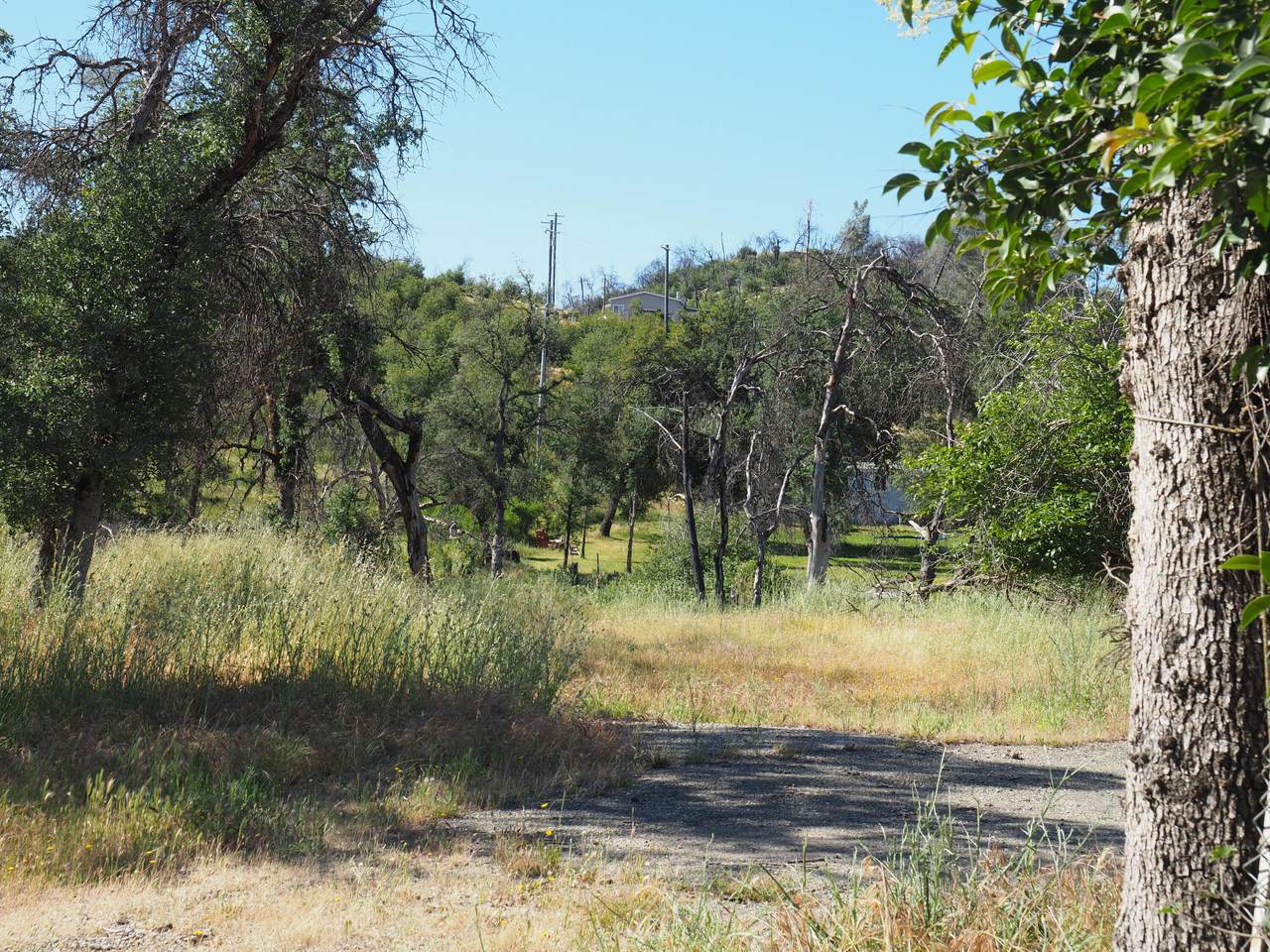 20103 Parocast Road - Photo 1