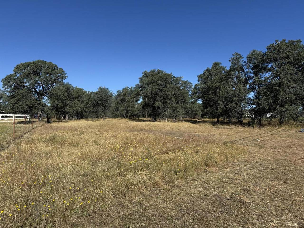  Old Oregon Trail - Photo 1