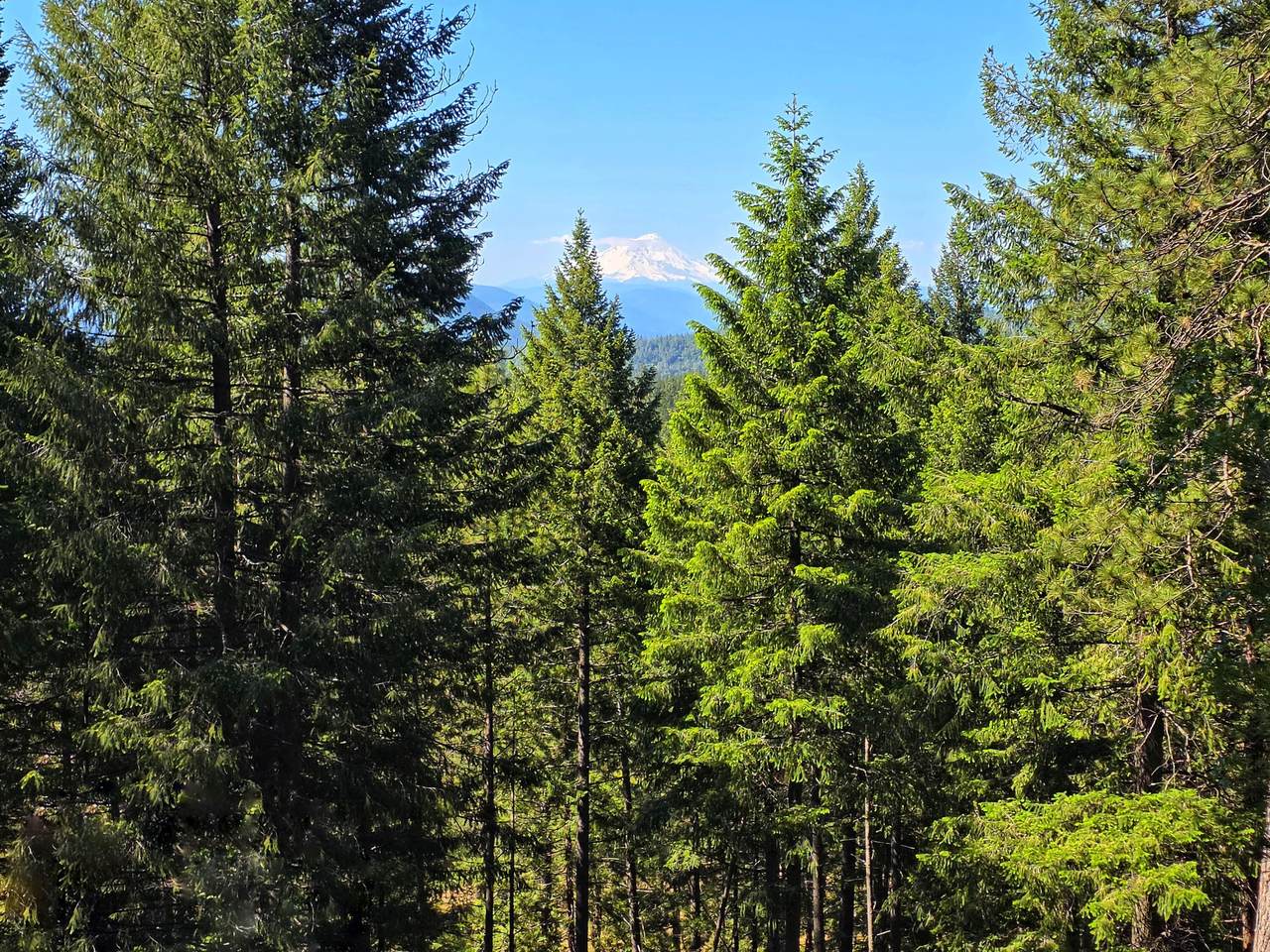 https://bt-photos.global.ssl.fastly.net/shasta/1280_boomver_1_26-2409-2.jpg