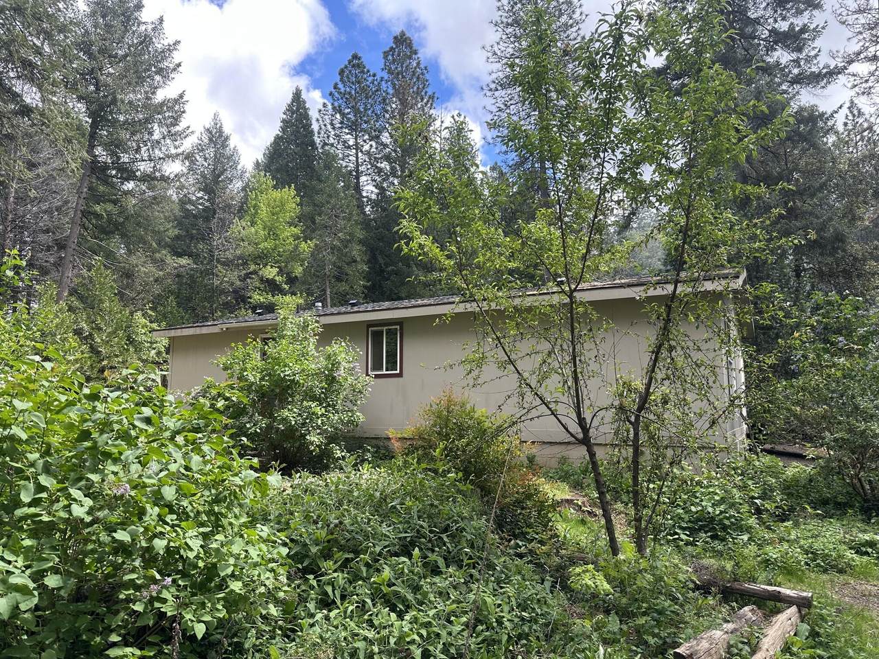 15691 Phillips Road - Photo 1