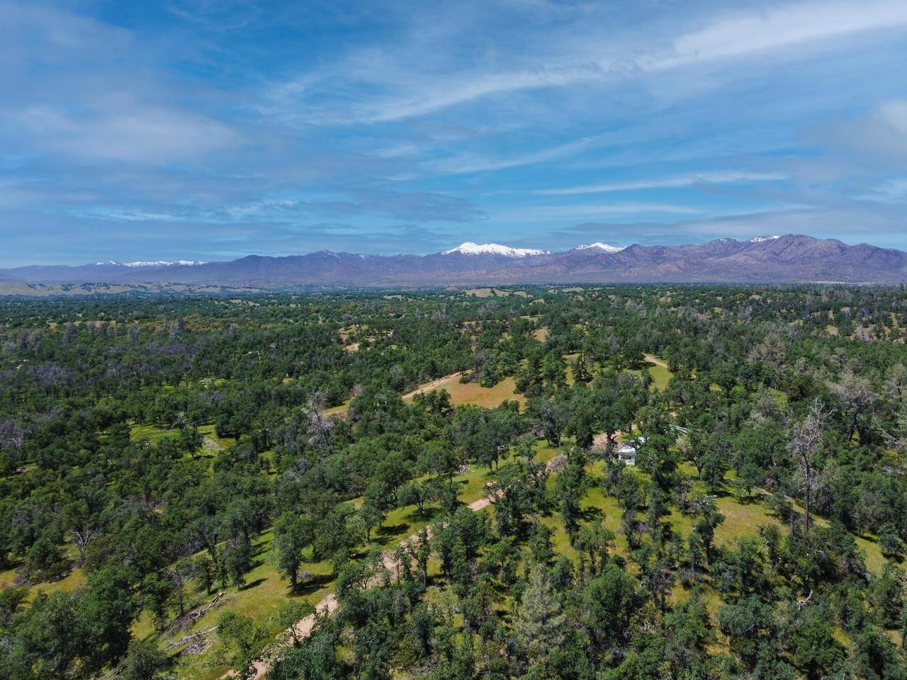  40 Acres Two Feathers Road - Photo 1
