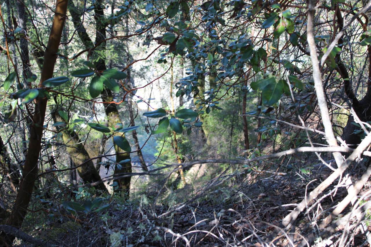 https://bt-photos.global.ssl.fastly.net/shasta/1280_boomver_1_26-2452-2.jpg