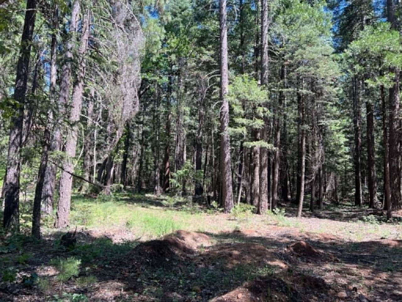 https://bt-photos.global.ssl.fastly.net/shasta/1280_boomver_1_26-2487-2.jpg