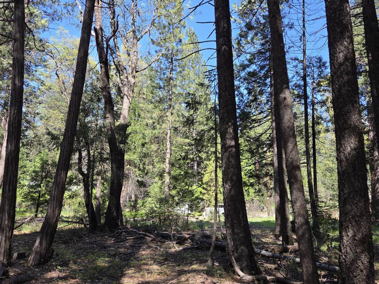 Lot 16 Arbor Lane - Photo 1