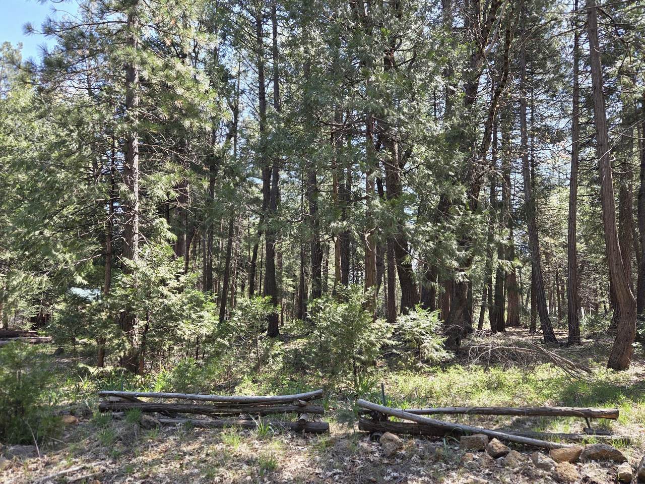 https://bt-photos.global.ssl.fastly.net/shasta/1280_boomver_1_26-2503-2.jpg