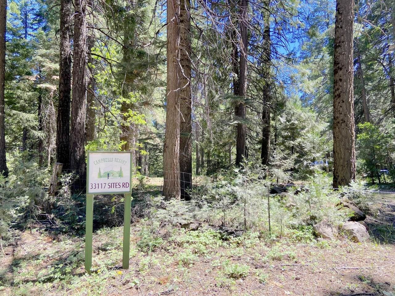 33117 Sites Road - Photo 1