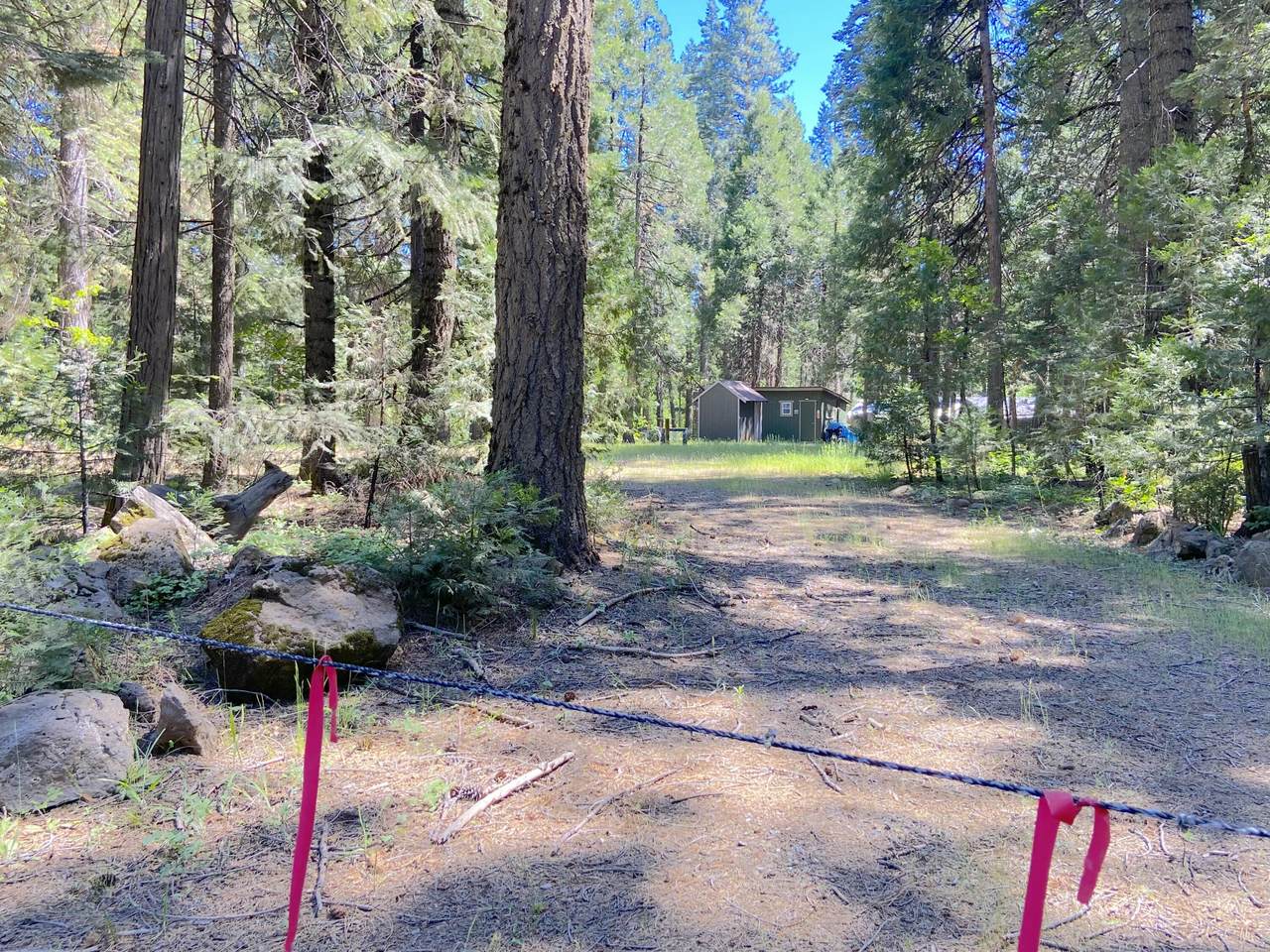 https://bt-photos.global.ssl.fastly.net/shasta/1280_boomver_1_26-2508-2.jpg