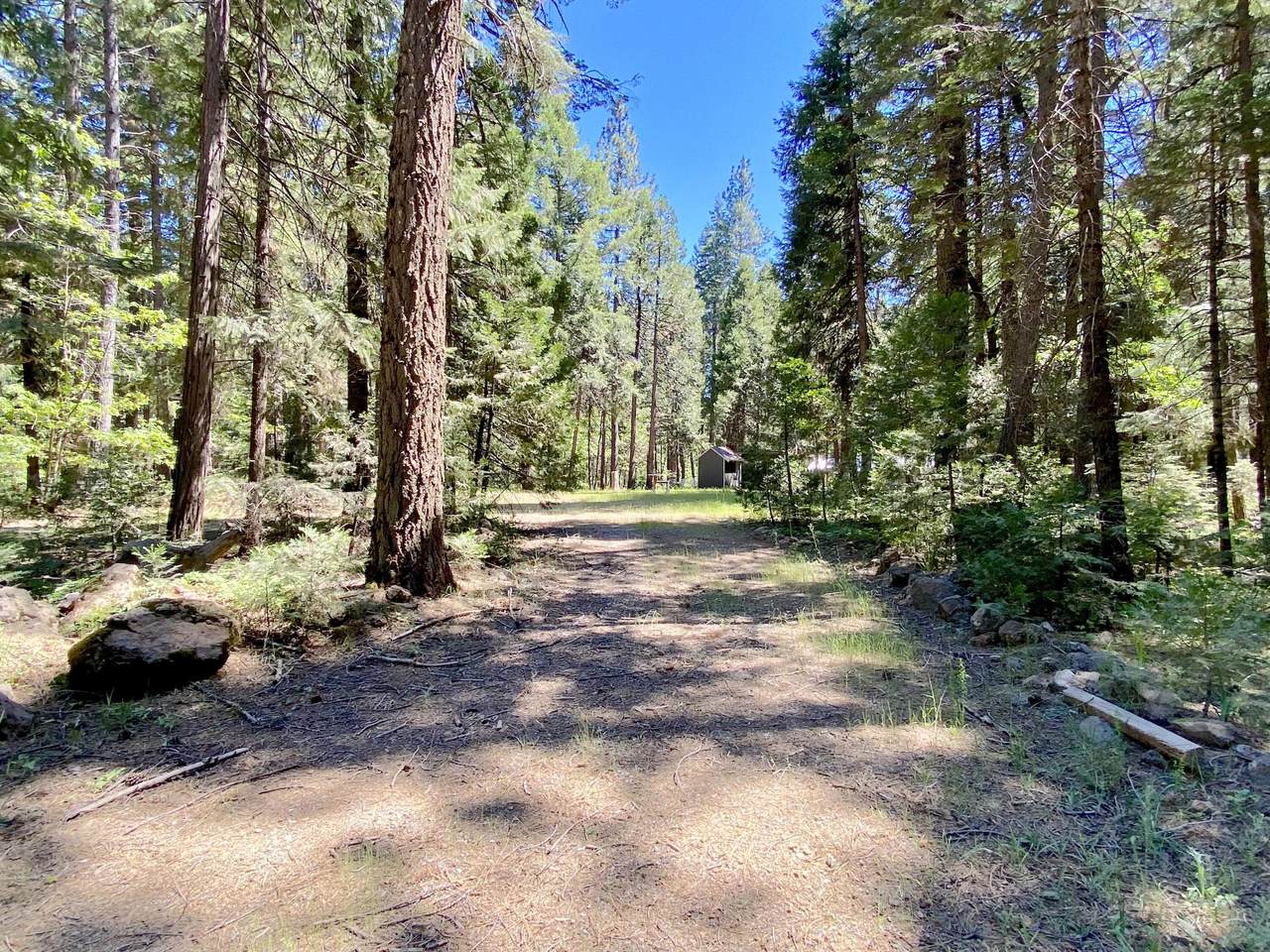 https://bt-photos.global.ssl.fastly.net/shasta/1280_boomver_1_26-2508-2.jpg