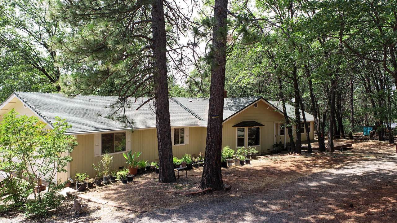 28936 Shingle Creek Lane - Photo 1