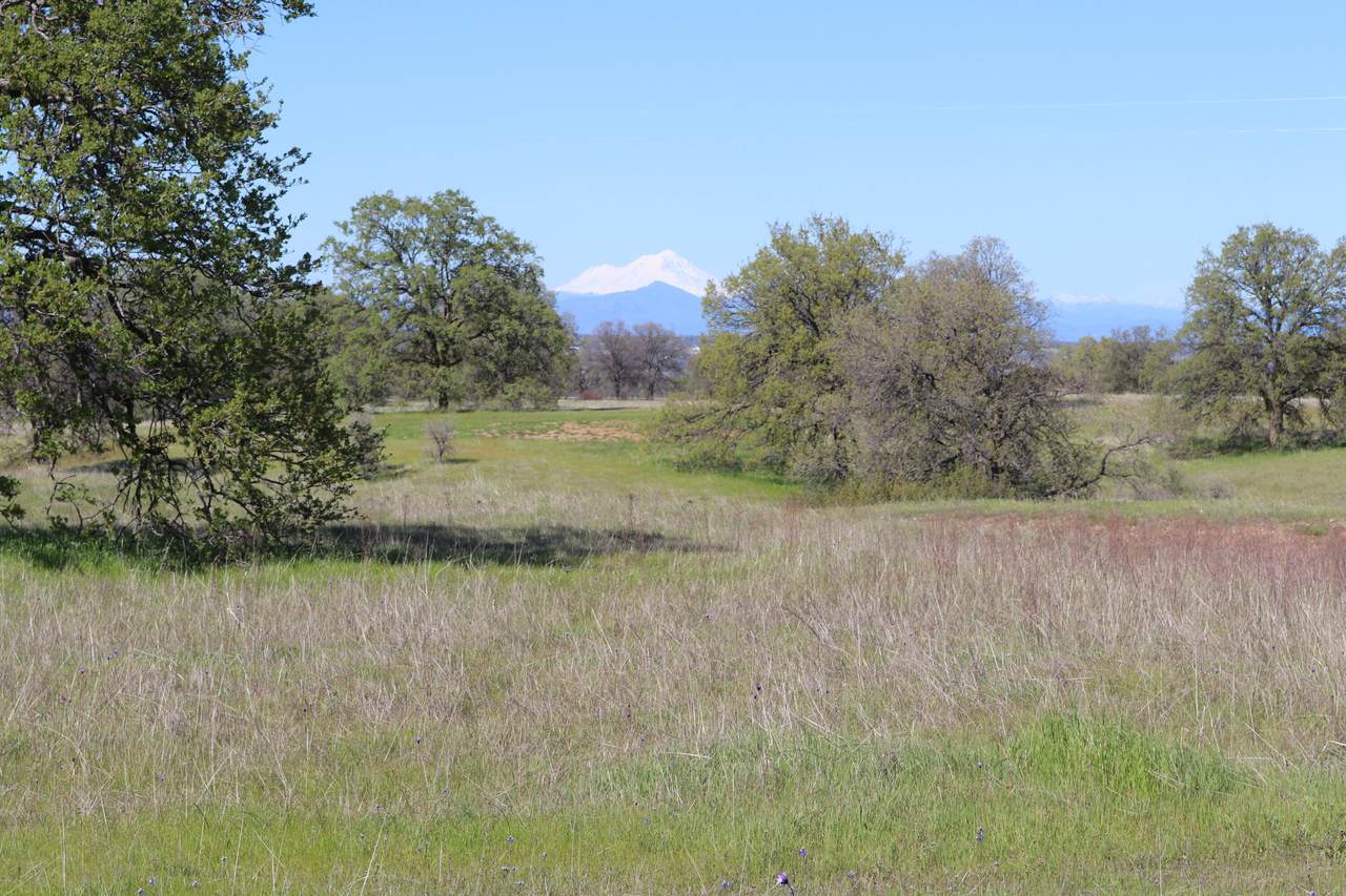 https://bt-photos.global.ssl.fastly.net/shasta/1280_boomver_1_26-2559-2.jpg