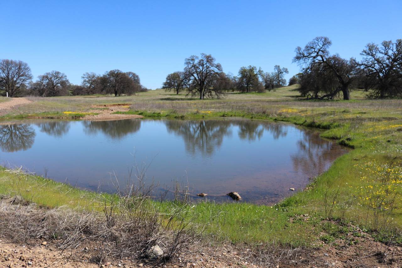 LOT 41 Del Mar Drive - Photo 1