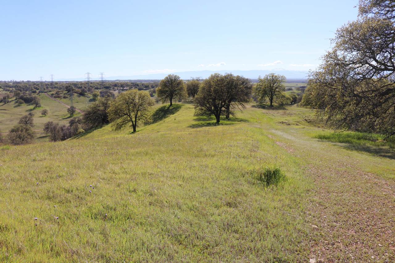 LOT 76 River Downs Way - Photo 1