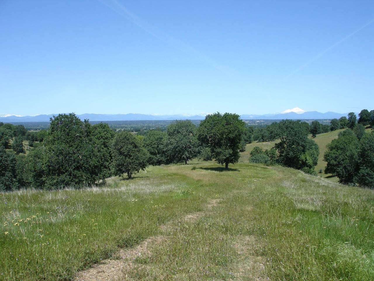 LOT 58 Pimlico Court - Photo 1
