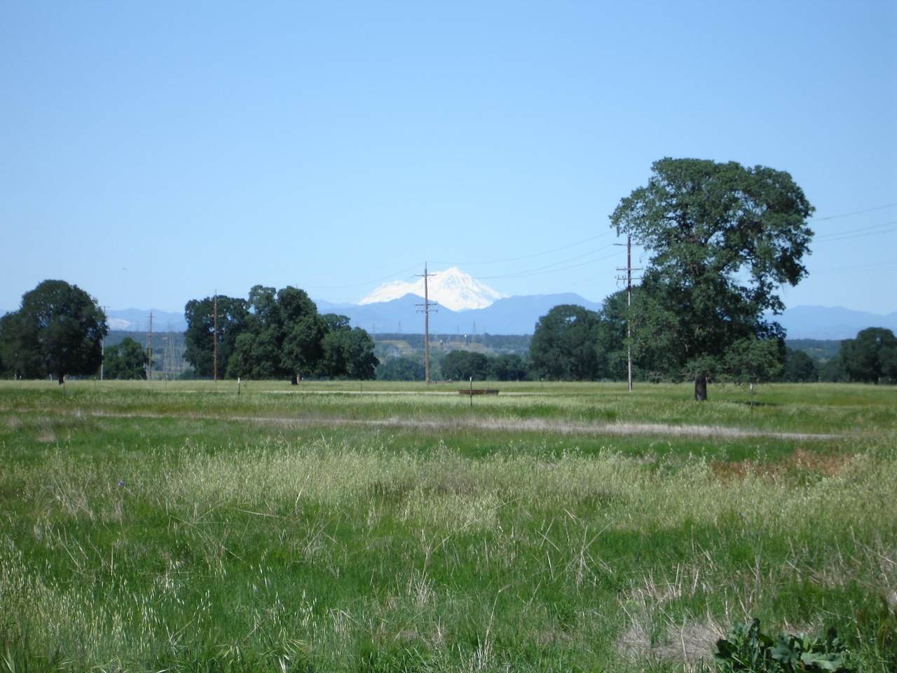 LOT 64 River Downs Way - Photo 1