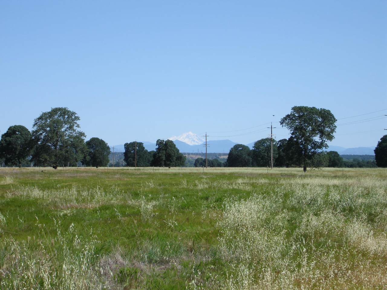 https://bt-photos.global.ssl.fastly.net/shasta/1280_boomver_1_26-2603-2.jpg