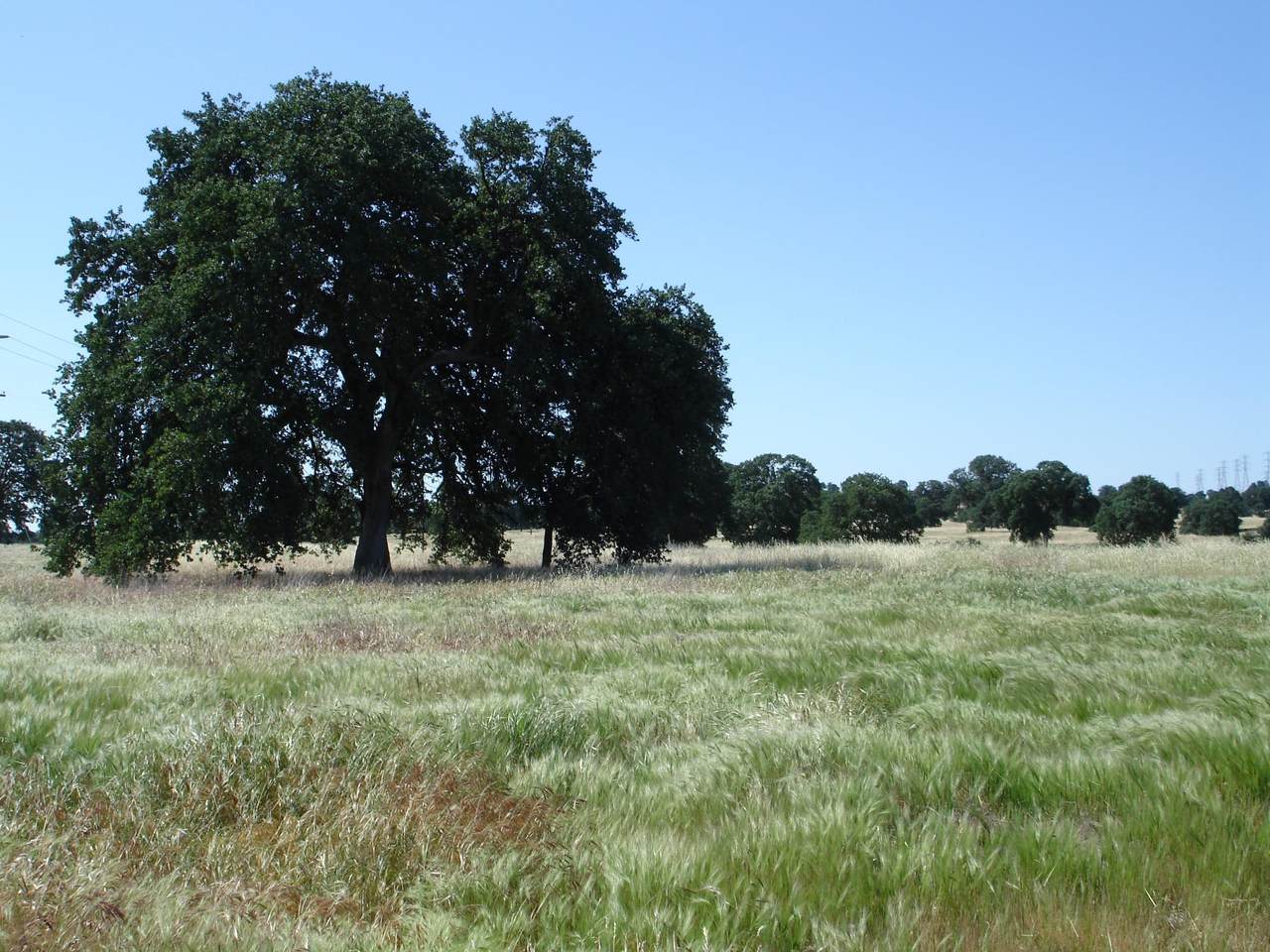 https://bt-photos.global.ssl.fastly.net/shasta/1280_boomver_1_26-2603-2.jpg