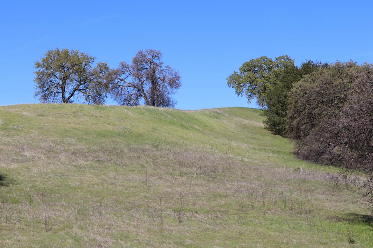 https://bt-photos.global.ssl.fastly.net/shasta/1280_boomver_1_26-2607-2.jpg