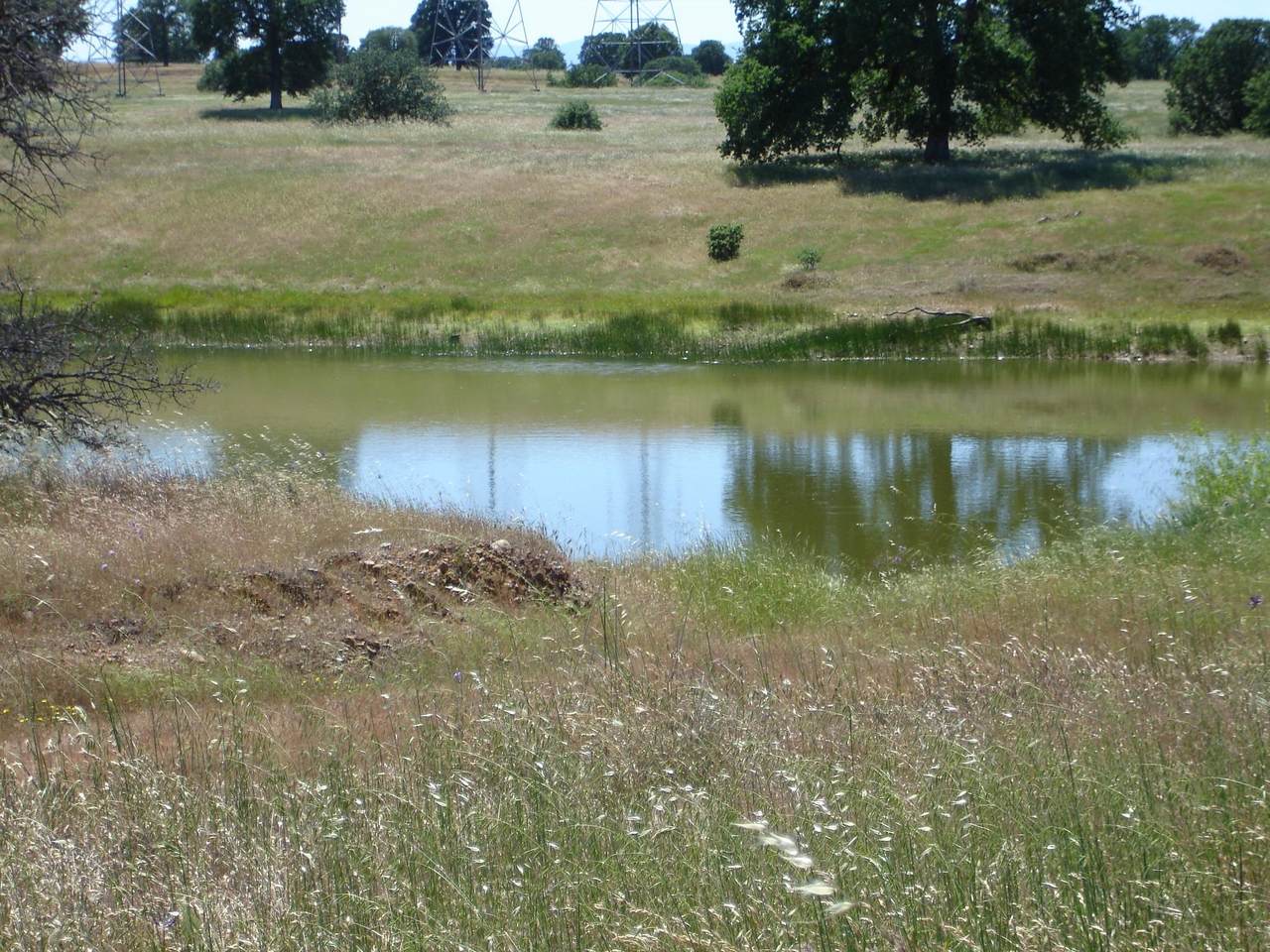 https://bt-photos.global.ssl.fastly.net/shasta/1280_boomver_1_26-2612-2.jpg