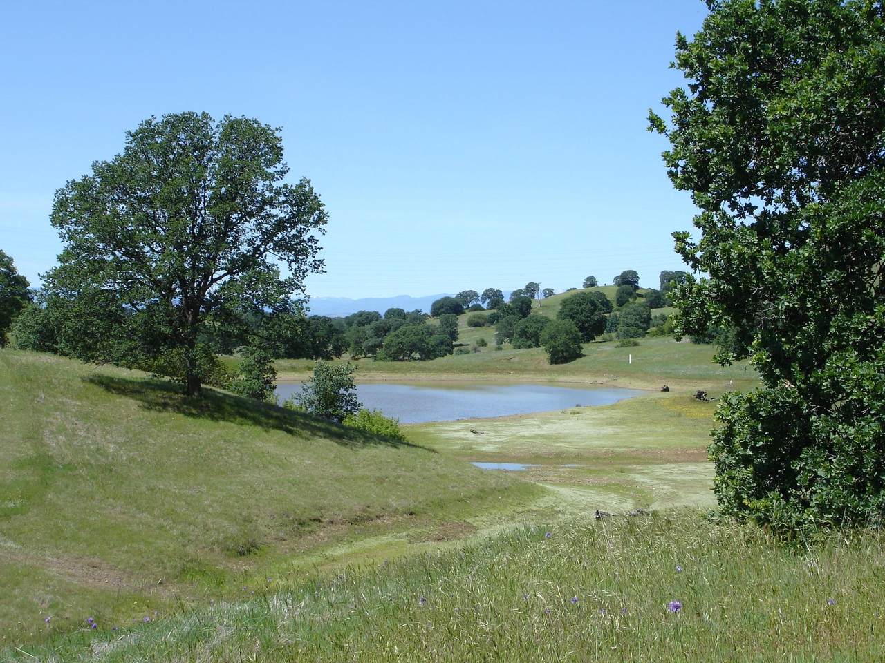 LOT 9 River Downs Way - Photo 1