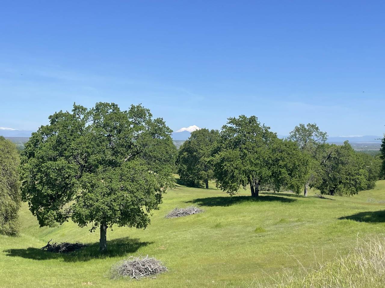 https://bt-photos.global.ssl.fastly.net/shasta/1280_boomver_1_26-2614-2.jpg